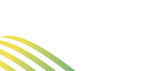 Digital Edge Consulting